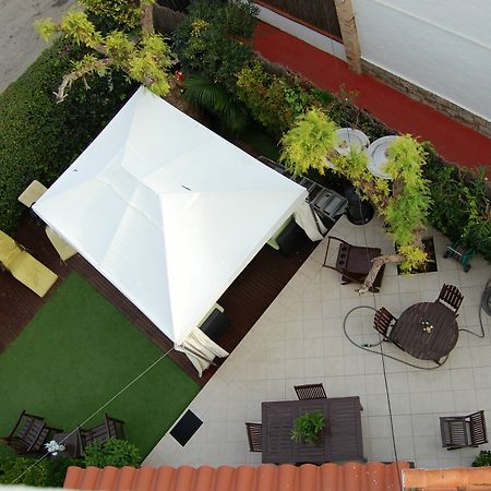 New Opening Villa Oasis Terramar Sitges Eksteriør bilde
